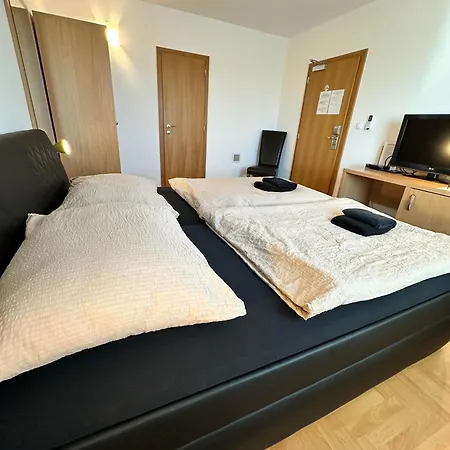 Hotel Muza 3*